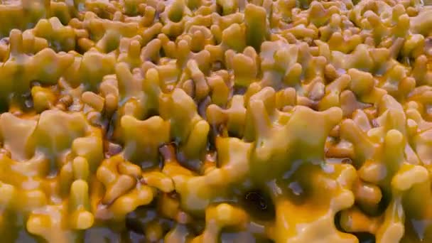 Soyut Bilimsel Jöle Benzeri Makro Canlandırması — Stok video