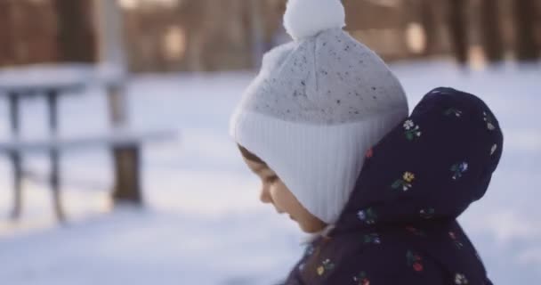 Ένα Μικρό Κοριτσάκι Που Εξερευνά Την Ύπαιθρο Μια Χειμωνιάτικη Μέρα — Αρχείο Βίντεο