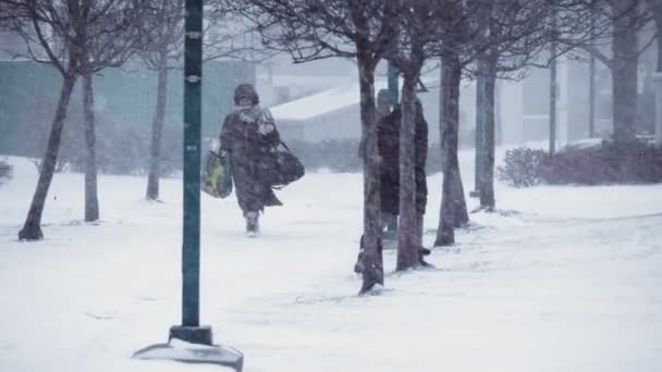 Massiv Snöstorm Slår Mot Staden Skjuten Filmisk Toronto — Stockvideo