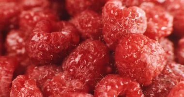 Güzel Çiftlik Taze Ahududu. 4K RAW 'da bir sinema kamerasında çekildi..