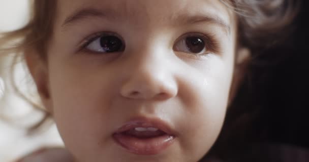 Pandangan Dekat Dari Gadis Kecil Yang Diberi Makan Tangan Shot — Stok Video