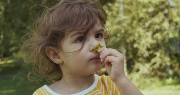 Χαριτωμένο Κοριτσάκι Που Απολαμβάνει Πάρκο Καλοκαίρι Αληθινό Υλικό Πυροβολήθηκε — Αρχείο Βίντεο