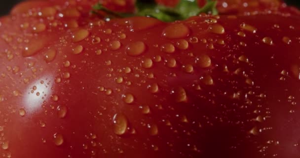 Primer Plano Una Granja Fresca Beefsteak Tomate Grabado Raw Una — Vídeos de Stock