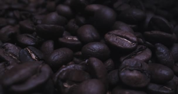Macro Sonde Shot Fra Coffee Beans Skutt Studio Raw Kinokamera – stockvideo