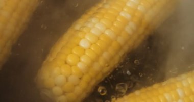 Kaynar suda olgun mısır. 4K RAW 'da bir sinema kamerasında çekildi..