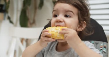 Koçanda mısır yiyen tatlı küçük kız. 4K RAW 'da bir sinema kamerasında çekildi..