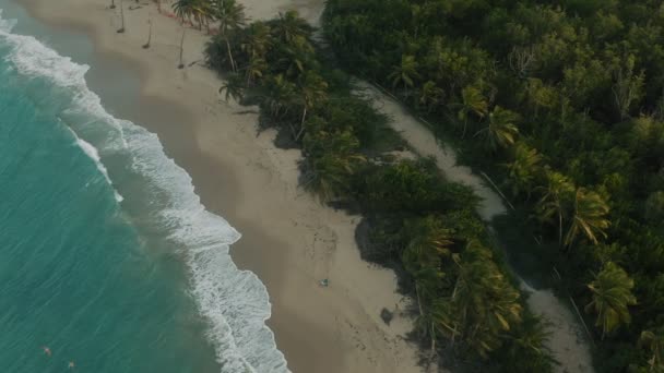 Letecký Pohled Pobřeží Portorika Kinematografické Záběry — Stock video