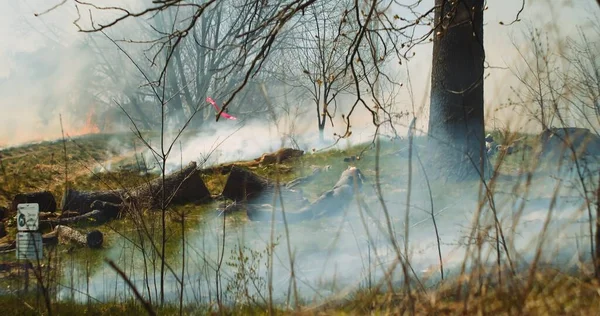 Cinematic Membangun Tembakan Dari Wildfire Menyebar Melalui Hutan Hijau Yang Stok Gambar
