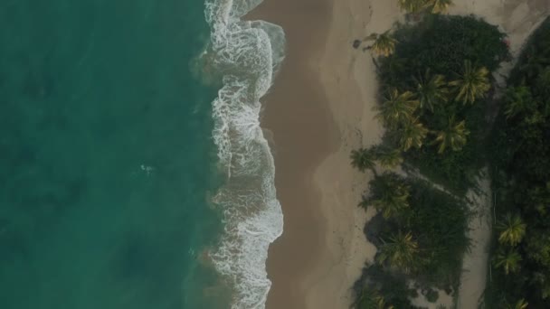 Vista Aérea Costa Porto Rico Filmagem Cinematográfica — Vídeo de Stock