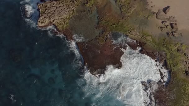 Légi Kilátás Egy Sziklás Régióban Tengerparti Puerto Rico Cinematic Felvételkészítés — Stock videók