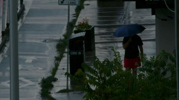 Establishing Shot City Street Rainstorm Faces Recognizable Shot — Stock Video