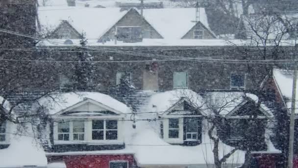 Establishing Shot Residential Homes Snow Storm Toronto Footage — Stock Video