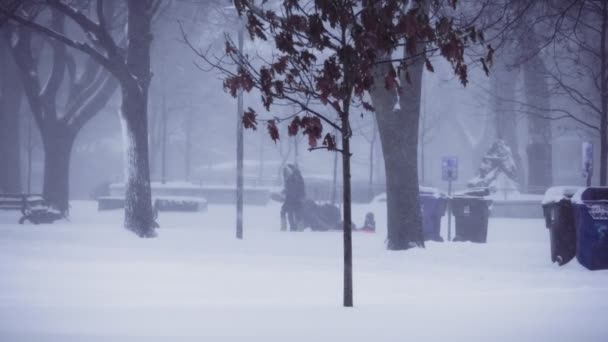 Bufera Neve Colpisce Città Girato Cinematografico Toronto — Video Stock
