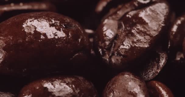 Makro Shot Dark Coffee Beans Snímek Raw Kameře — Stock video
