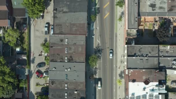 Luchtfoto Van Voorstad Toronto Buurt Tijdens Piek Herfstkleuren Filmbeelden Van — Stockvideo