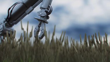 Robot kollu modern bilim kurgu buğday tarlası. 4K canlandırması.