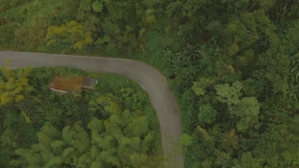 在波多黎各山区雨林路上驾驶的汽车在空中鸣枪示警 电影4K镜头 — 图库视频影像
