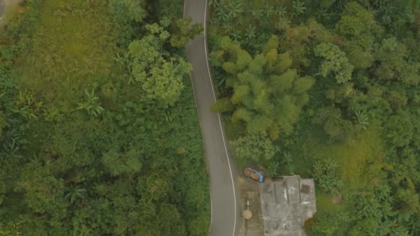 在波多黎各山区雨林路上驾驶的汽车在空中鸣枪示警 电影4K镜头 — 图库视频影像
