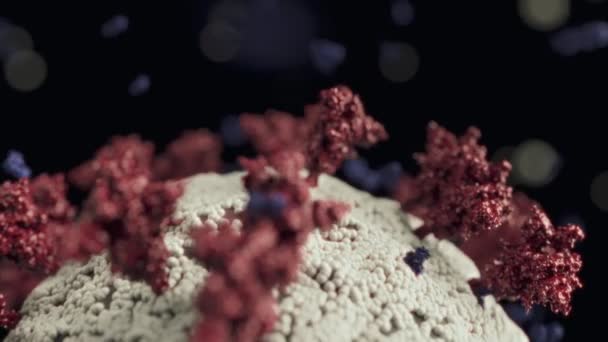 Gli Anticorpi Blu Sono Elusi Dalla Mutazione Proteina Del Punto — Video Stock