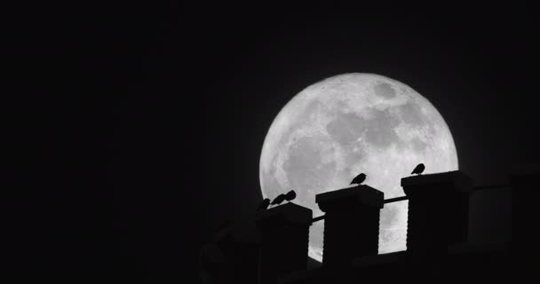 スーパームーンの下の水の塔の端に鳥 夜に多くの異なる種類の住宅地を確立するのに適した非常に映画撮影 — ストック動画