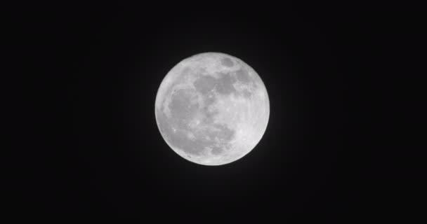 2017年のスーパームーンの瞬間は 12月3日に月が昇る後 ライカスーパー望遠レンズで撮影 非常にシャープなシネマ4K映像 Proresファイル — ストック動画