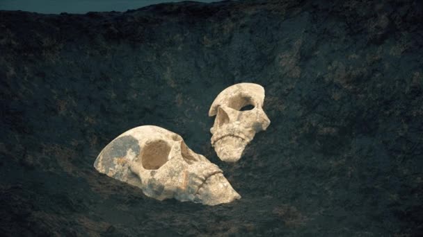 Tengkorak Yang Terkubur Ditemukan Tanah — Stok Video