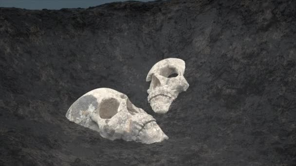 Toprağa Gömülü Kafatasları Bulundu — Stok video