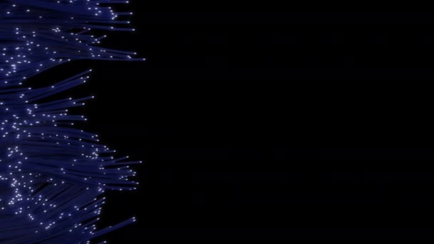 Fiber Optik Kablolar Çerçeveye Yayıldı Bit Renk Derinliğinde Oluşturulan Soyut — Stok video