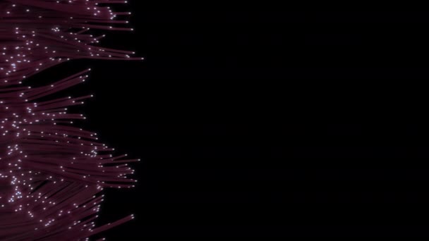 Волоконно Оптические Кабели Раскинулись Раме Абстрактная Анимация Uhd Битной Глубиной — стоковое видео