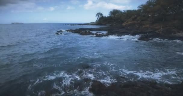 Maui Sahil Şeridinde Uçuyor Uhd Çekim Kuruyor — Stok video