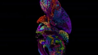 Değişen parçacık renkleri ve alfa mat ile akışkan simülasyon. 4K UHD canlandırması.