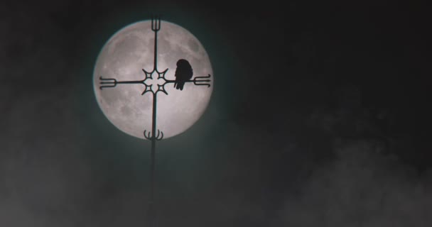 Raven Descansando Uma Torre Igreja Silhueta Pela Lua Uhd — Vídeo de Stock
