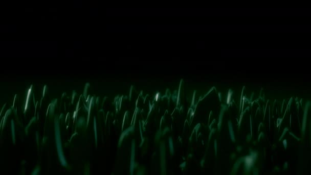 Абстрактна Анімація Зображує Переміщену Неізольовану Чорну Рідину Безшовній Петлі — стокове відео