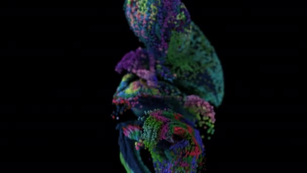 Flüssigkeitssimulation Mit Wechselnden Partikelfarben Und Alpha Matte Uhd Animation — Stockvideo