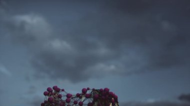 Soyut moleküler bağlantılar. 16- bit renk derinliğinde 4K UHD canlandırması.