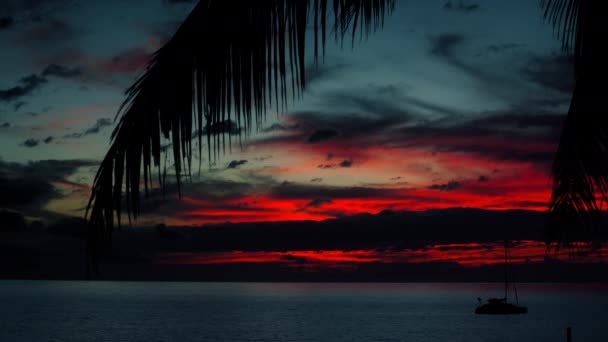Zachód Słońca Maui Uhd — Wideo stockowe