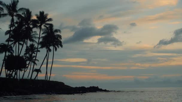 Εικονική Θέα Μιας Παραλίας Στο Μάουι Της Χαβάης Uhd — Αρχείο Βίντεο