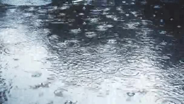 Βροχή Πέφτει Στο Πεζοδρόμιο Αργή Κίνηση Βίντεο Ποιότητας Εκπομπής — Αρχείο Βίντεο
