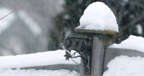 Video Tipo Roll Una Brutale Neve Invernale Con Accumulo Record — Video Stock
