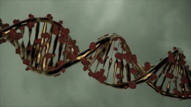 DNA ipliğini değiştiren yeni bir gen düzenleme tedavisinin tanıtımı