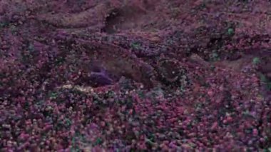 Makro girdap tozlu boya. 4K UHD canlandırması.