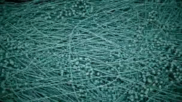 데이터 흐름을 묘사하는 네트워크 Uhd 애니메이션 — 비디오