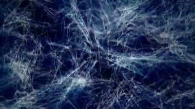 Bir ağ veri akışını gösteren animasyon. Kusursuz döngü. 4K.