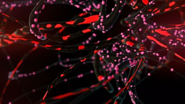 Vuelo Través Una Red Neuronal Muy Detallada Animación Uhd — Vídeos de Stock