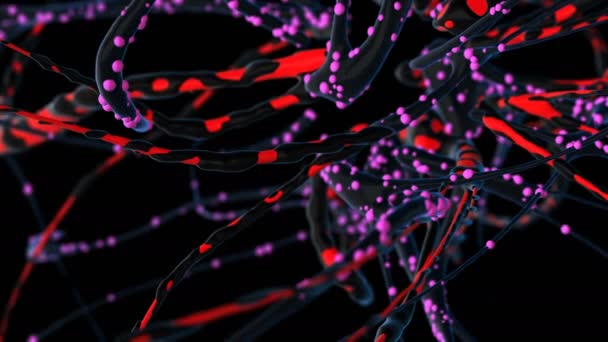 Vuelo Través Una Red Neuronal Muy Detallada Animación Uhd — Vídeo de stock