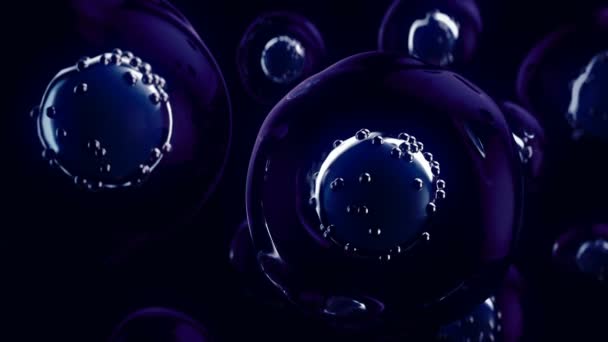 核と壁を持つ現実的な細胞のクローズアップビュー Uhd — ストック動画