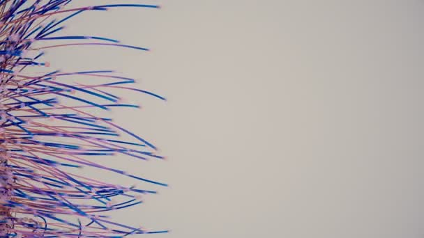 Animación Que Representa Cientos Partículas Movimiento Lento Con Colas Pie — Vídeos de Stock