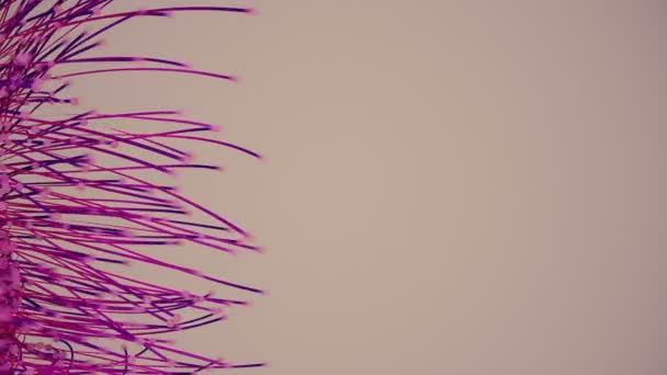 Анімація Зображує Сотні Повільних Рухомих Частинок Хвостами Uhd Кадрів — стокове відео