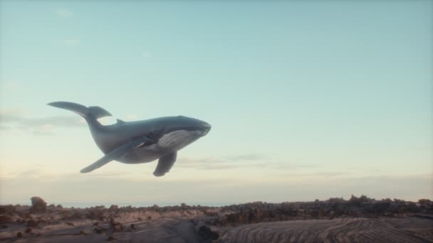 Σουρεαλιστικό Animation Μιας Φάλαινας Στον Ουρανό Φαντασία Φαντασία Τολμηρή Πιασάρικη — Αρχείο Βίντεο