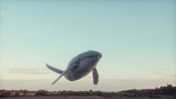 Surrealist Animation Humpback Whale Sky Fantasy Imagining Bold Catchy Imagery — Vídeos de Stock